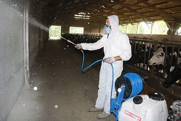 Blanchiment bâtiment d'élevage à Lempdes