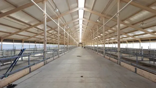 Brumisation mouche à Lempdes