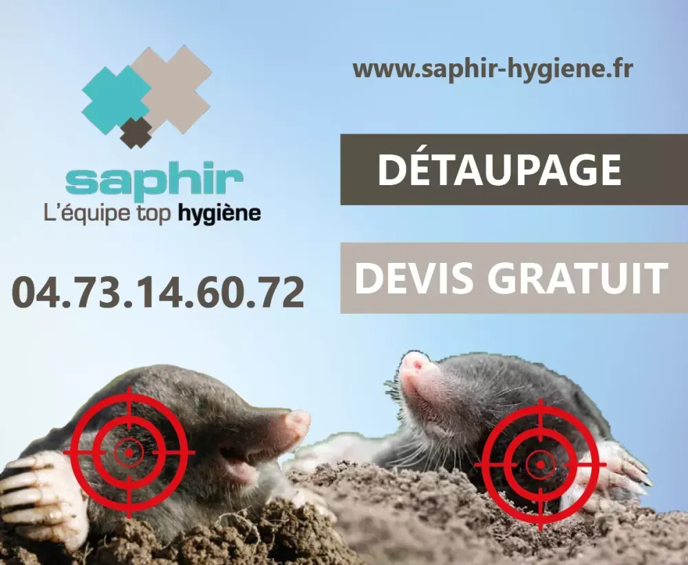 Le détaupage avec Saphir