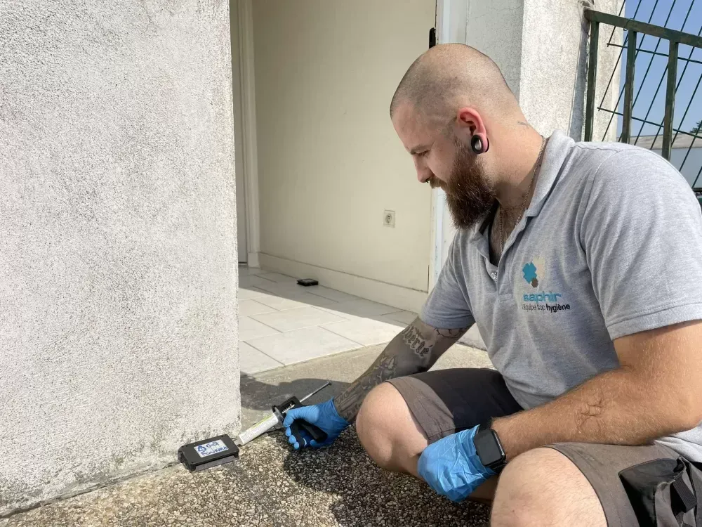 Traitement de fourmilières à Pont-du-Château